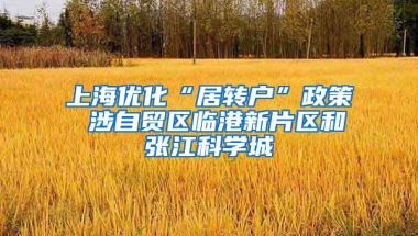 上海优化“居转户”政策 涉自贸区临港新片区和张江科学城