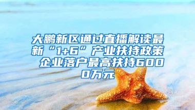 大鹏新区通过直播解读最新“1+6”产业扶持政策 企业落户最高扶持6000万元