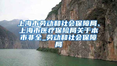 上海市劳动和社会保障局、上海市医疗保险局关于本市非全_劳动和社会保障局