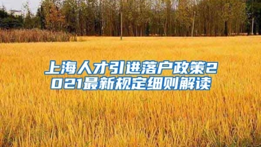 上海人才引进落户政策2021最新规定细则解读