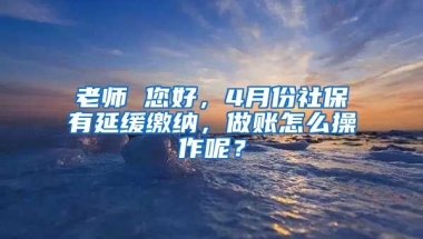 老师 您好，4月份社保有延缓缴纳，做账怎么操作呢？