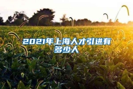 2021年上海人才引进有多少人