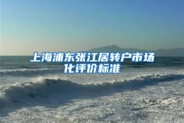 上海浦东张江居转户市场化评价标准