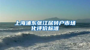 上海浦东张江居转户市场化评价标准