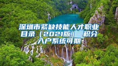 深圳市紧缺技能人才职业目录（2021版） 积分入户系统可期