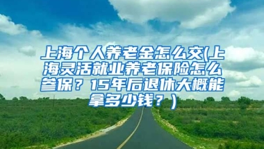 上海个人养老金怎么交(上海灵活就业养老保险怎么参保？15年后退休大概能拿多少钱？)