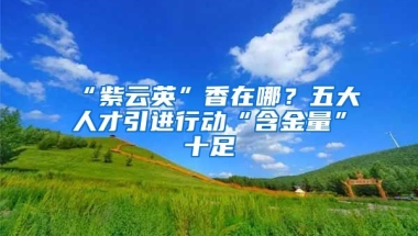 “紫云英”香在哪？五大人才引进行动“含金量”十足