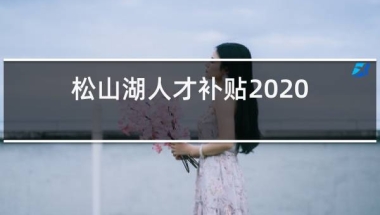 松山湖人才补贴2020年12月最后一批什么时候拨款