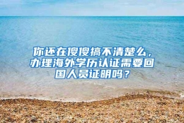 你还在傻傻搞不清楚么，办理海外学历认证需要回国人员证明吗？