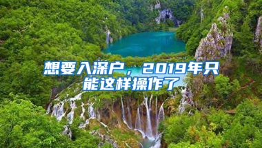 想要入深户，2019年只能这样操作了