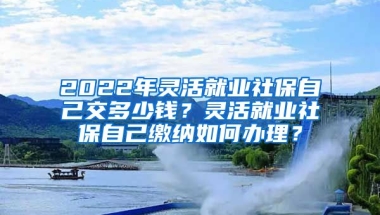 2022年灵活就业社保自己交多少钱？灵活就业社保自己缴纳如何办理？