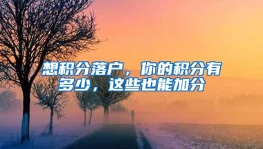 想积分落户，你的积分有多少，这些也能加分