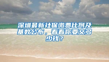 深圳最新社保缴费比例及基数公布，看看你要交多少钱？