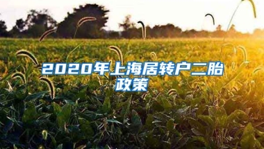 2020年上海居转户二胎政策