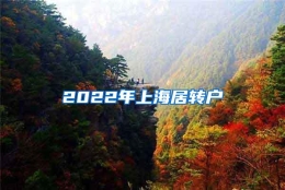 2022年上海居转户