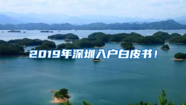 2019年深圳入户白皮书！