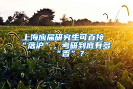 上海应届研究生可直接“落沪”，考研到底有多“香”？