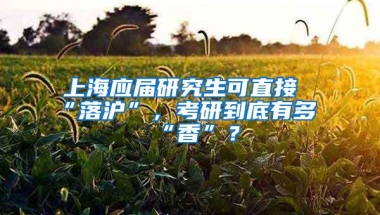 上海应届研究生可直接“落沪”，考研到底有多“香”？