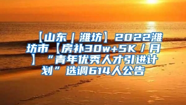 【山东｜潍坊】2022潍坊市【房补30w+5K／月】“青年优秀人才引进计划”选调614人公告