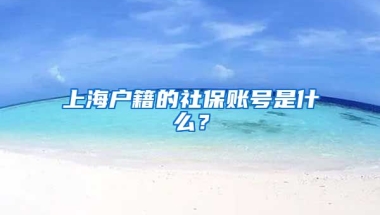 上海户籍的社保账号是什么？