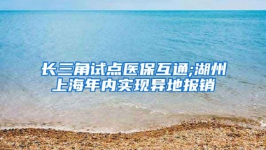 长三角试点医保互通;湖州上海年内实现异地报销