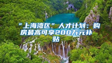 “上海湾区”人才计划：购房最高可享200万元补贴