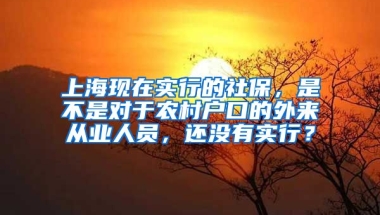 上海现在实行的社保，是不是对于农村户口的外来从业人员，还没有实行？