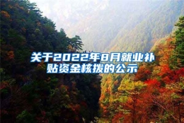 关于2022年8月就业补贴资金核拨的公示