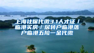 上海社保代缴3.1人才证／临港买房／居转户临港落户临港五险一金代缴