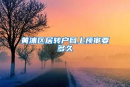 黄浦区居转户网上预审要多久