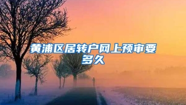 黄浦区居转户网上预审要多久