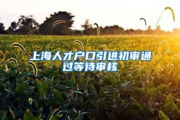 上海人才户口引进初审通过等待审核