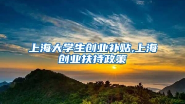 上海大学生创业补贴,上海创业扶持政策