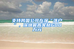 支持跨国公司在深“落户”，深圳最高奖励600万元