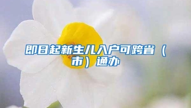 即日起新生儿入户可跨省（市）通办