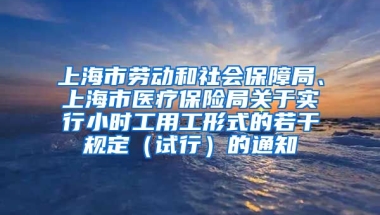 上海市劳动和社会保障局、上海市医疗保险局关于实行小时工用工形式的若干规定（试行）的通知