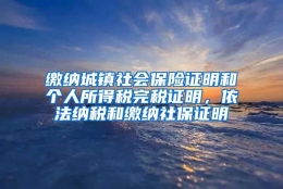 缴纳城镇社会保险证明和个人所得税完税证明，依法纳税和缴纳社保证明