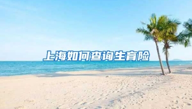 上海如何查询生育险