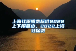 上海社保缴费标准2022上下限多少，2022上海社保费