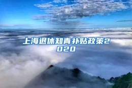 上海退休知青补贴政策2020