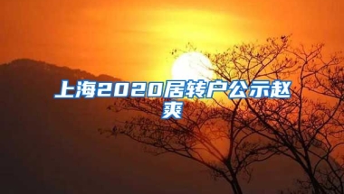 上海2020居转户公示赵爽