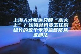 上海人才引进只顾“高大上”？沙海林肖贵玉任副组长的这个专项监督聚焦这部法