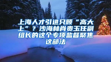 上海人才引进只顾“高大上”？沙海林肖贵玉任副组长的这个专项监督聚焦这部法