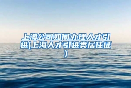 上海公司如何办理人才引进(上海人才引进类居住证)