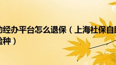 上海社保自助经办平台怎么退保（上海社保自助经办平台如何修改参加险种）