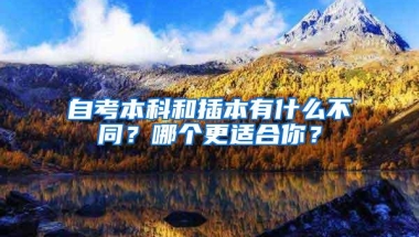 自考本科和插本有什么不同？哪个更适合你？