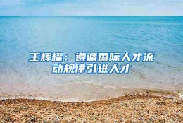 王辉耀：遵循国际人才流动规律引进人才