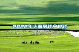 2022年上海居转户规划