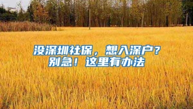 没深圳社保，想入深户？别急！这里有办法