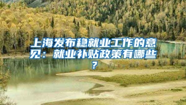 上海发布稳就业工作的意见：就业补贴政策有哪些？